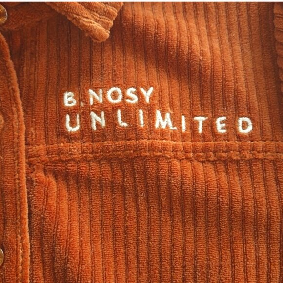 B. NOSY corduroy dress size 8 - Picture 4 of 9